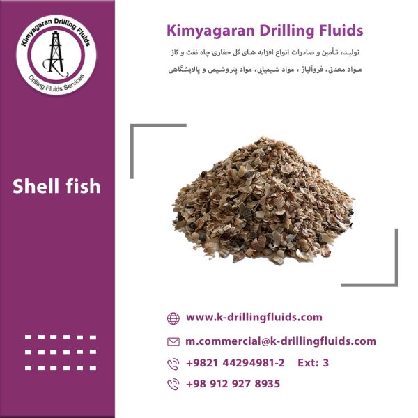 Shell Fish